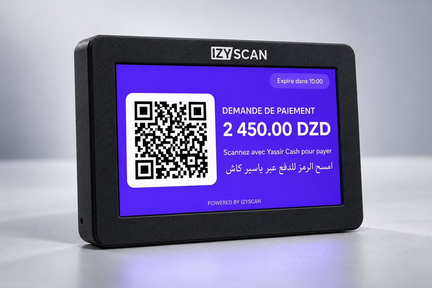 izyDisplay 7